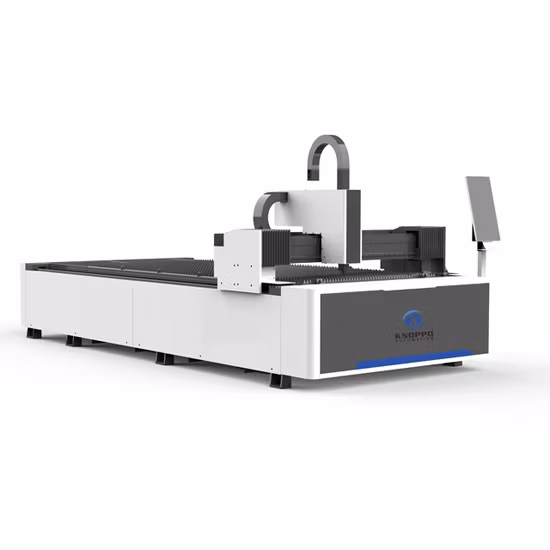 Raycus geschlossene 1 kW 1,5 kW 2 kW 3 kW Aluminium-Edelstahl-Eisen 1000 W 1500 W 2000 W 3000 W CNC-Faserlaserschneidemaschine für Bleche
